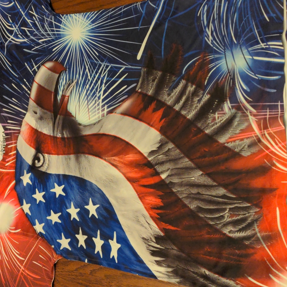 Spirit of America T-shirt with Eagle, Fireworks & Flag